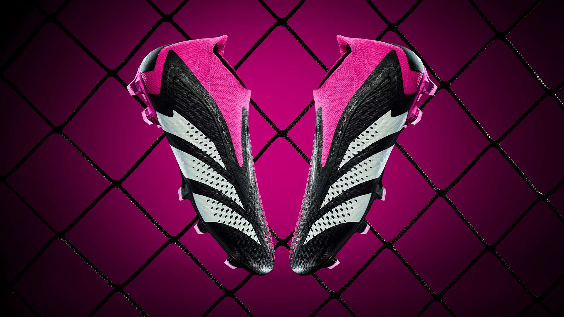 物浦的阿利 物浦的阿利